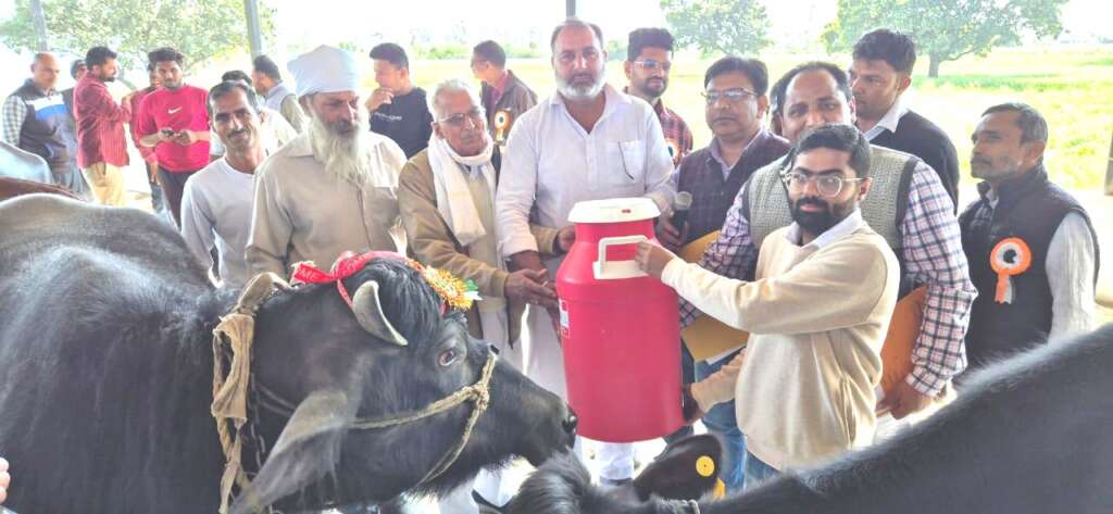 गदरपुर में वृहद पशु प्रदर्शनी का आयोजन, पंकज कुमार की हीफर भैंस बनी चैंपियन