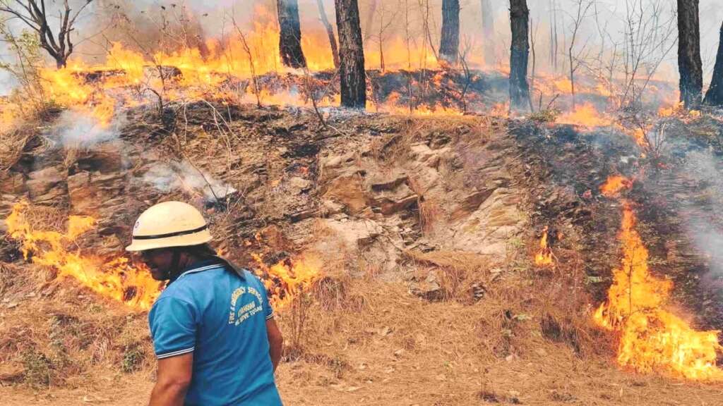 उत्तराखंड: फायर वॉचर्स को मिलेगा 10 लाख का सुरक्षा कवर, केंद्र सरकार से 4 अरब की दरकार