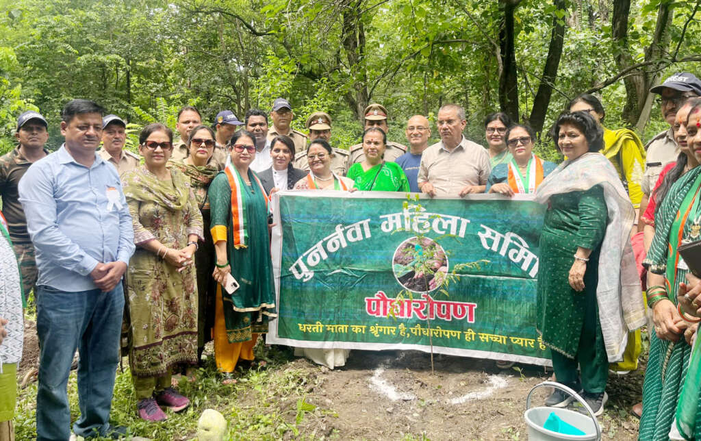 Haldwani: स्वतंत्रता दिवस पर सिटी फॉरेस्ट में गूंजा हरियाली का संदेश, पुनर्नवा महिला समिति ने लगाए 50 फूलदार-फलदार पौधे